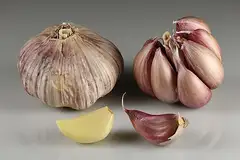 마늘