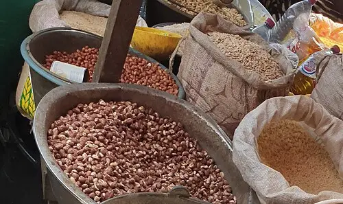 땅콩 (Arachis hypogaea)