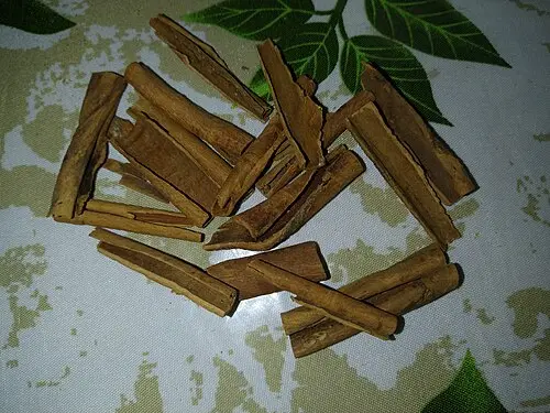 실론계피나무 (Cinnamomum verum)