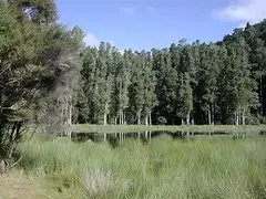 카히카테아