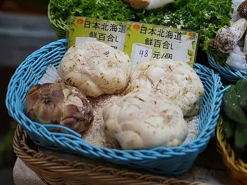 날개하늘나리 (Lilium pensylvanicum)