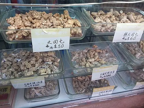 삼칠 (Panax notoginseng)