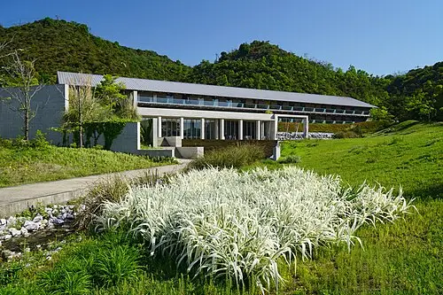 갈풀 (Phalaris arundinacea)