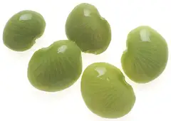 리마콩