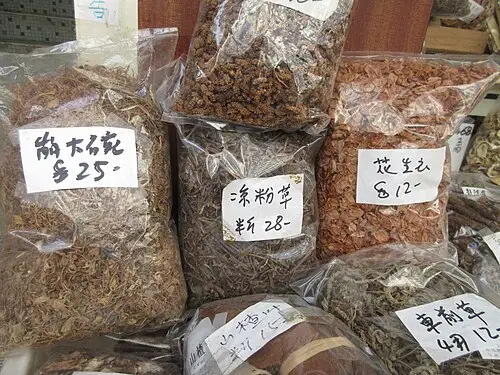 질경이 (Plantago asiatica)