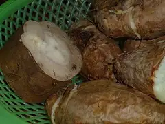 칡