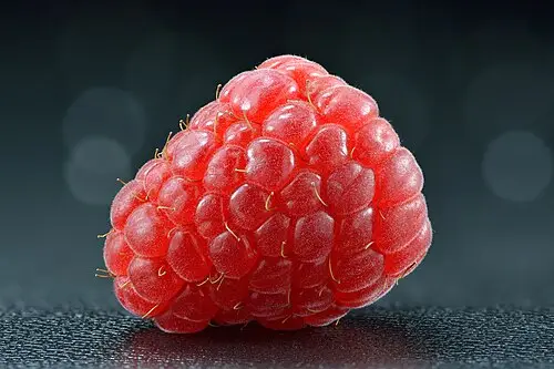 라즈베리 (Rubus idaeus)