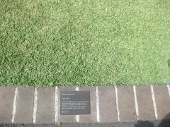 잔디